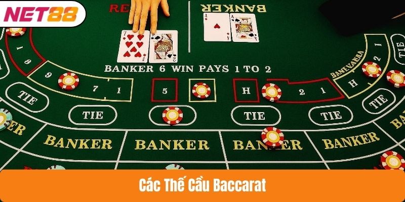 Chiến thuật áp dụng hiệu quả cho thành viên