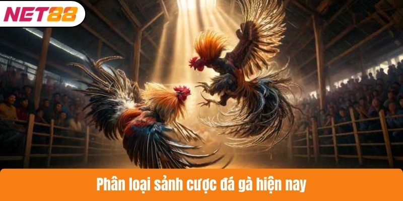 Phân loại sảnh cược đá gà hiện nay